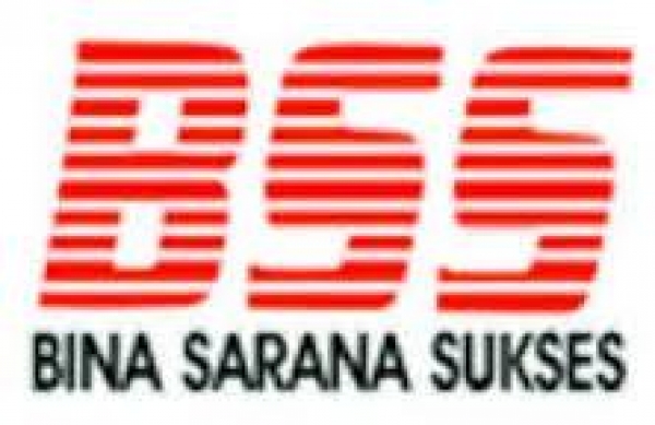 Lowongan Programer VB di PT Bina Sarana Sukses